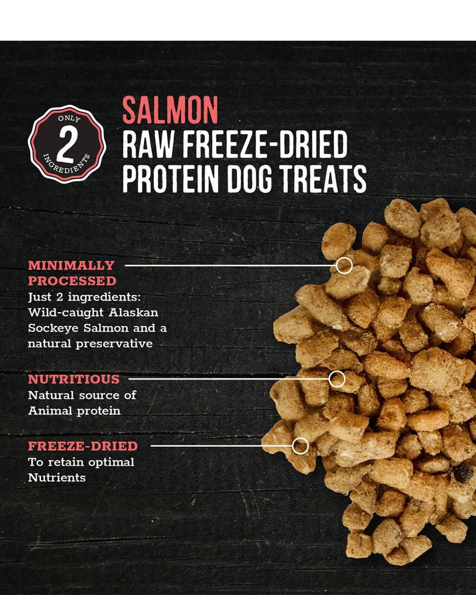 Wholesome Pride Raw Freeze-Dried Salmon Dog Treats