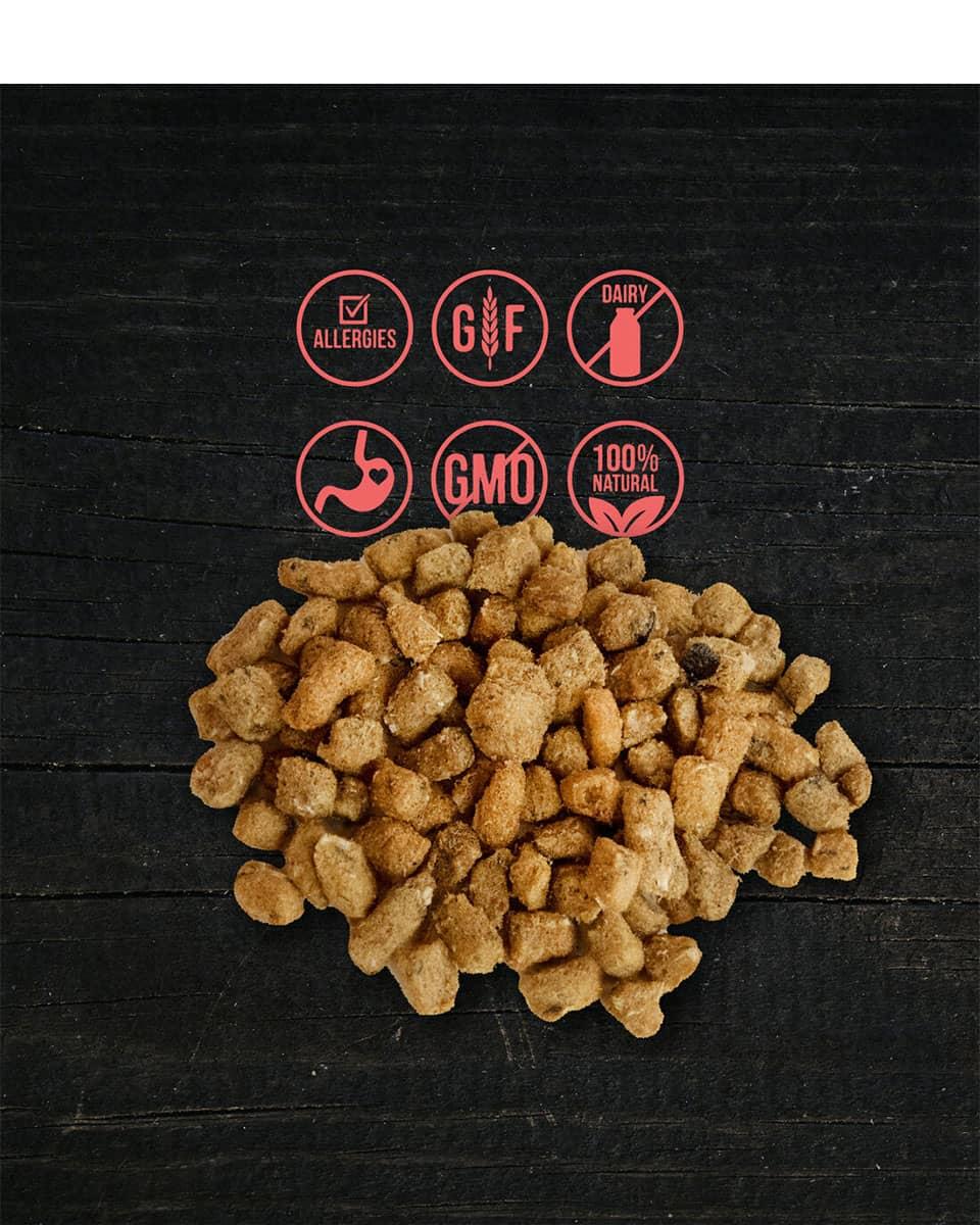 Wholesome Pride Raw Freeze-Dried Salmon Dog Treats