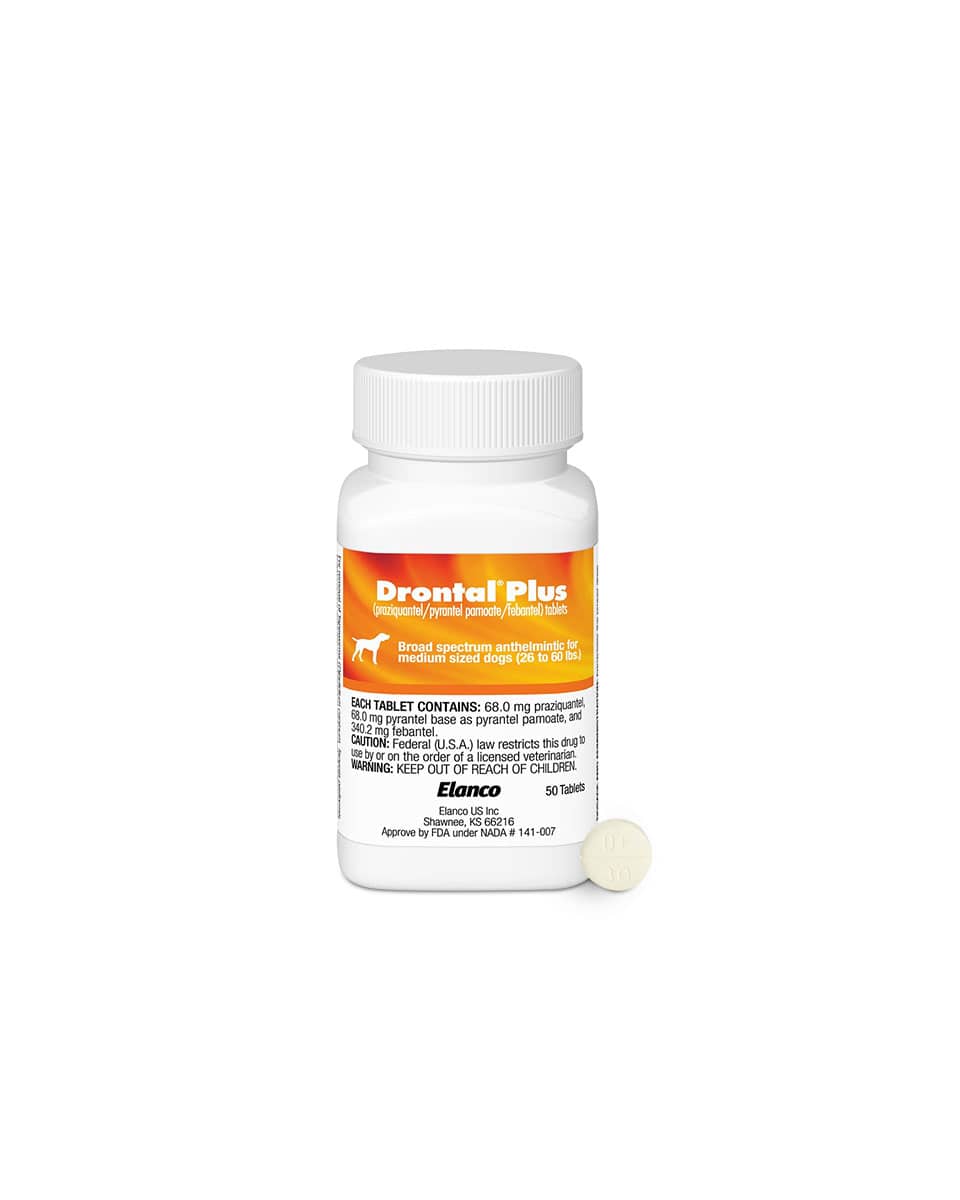 Drontal Plus Canine 26-60lbs (Sold per tab)