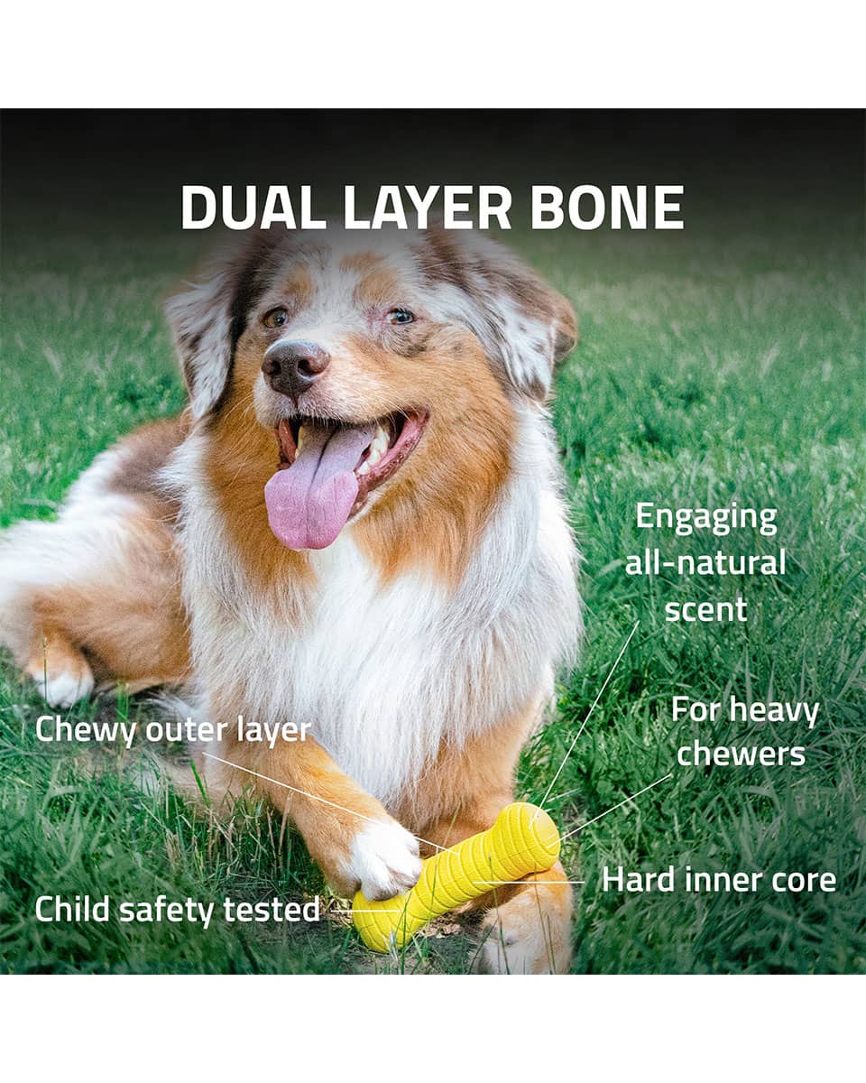 Playology Dual Layer Bone dog toy