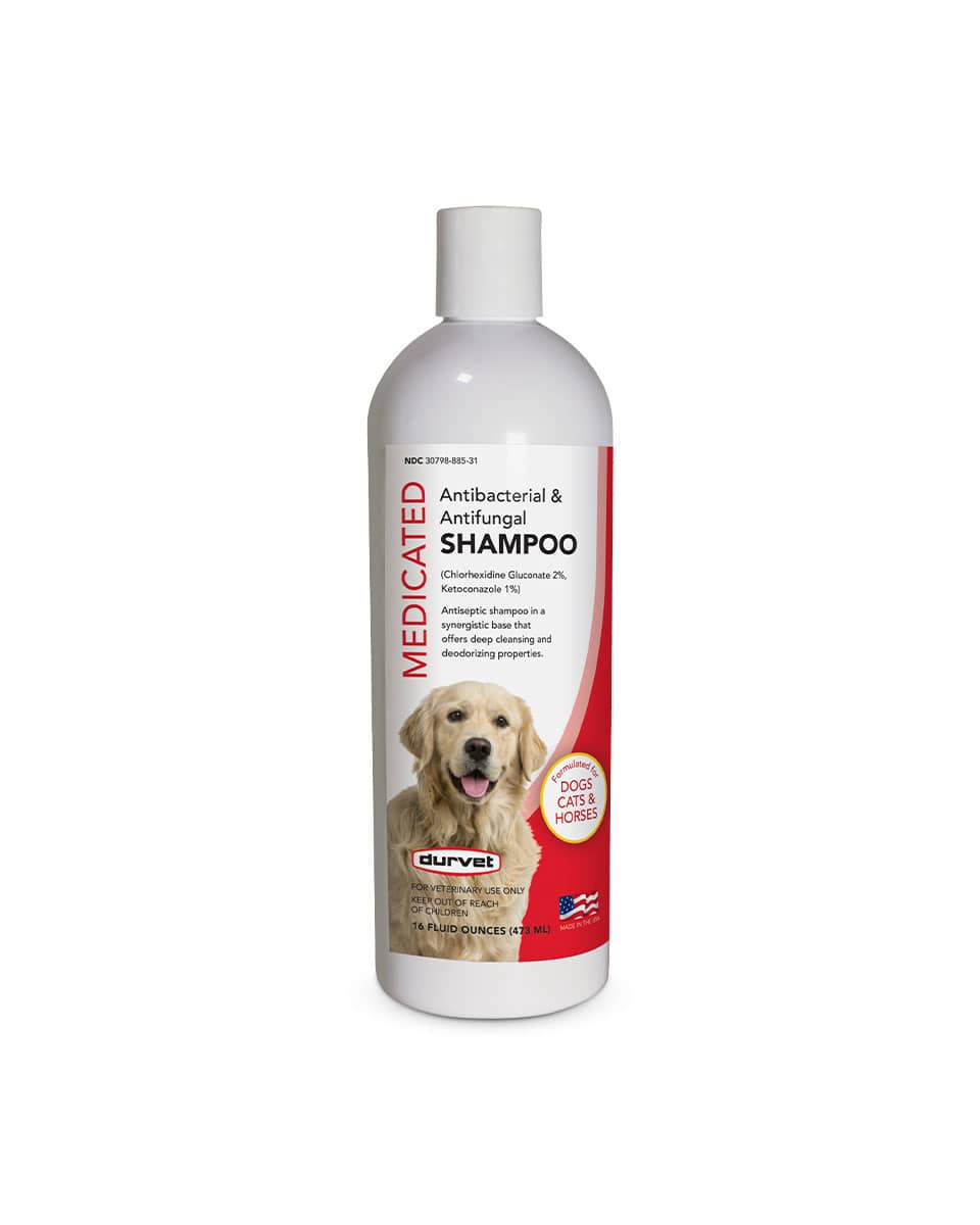 Durvet Medicated Antibacterial and Antifungal Shampoo for horses, dogs, and cats - 16 oz