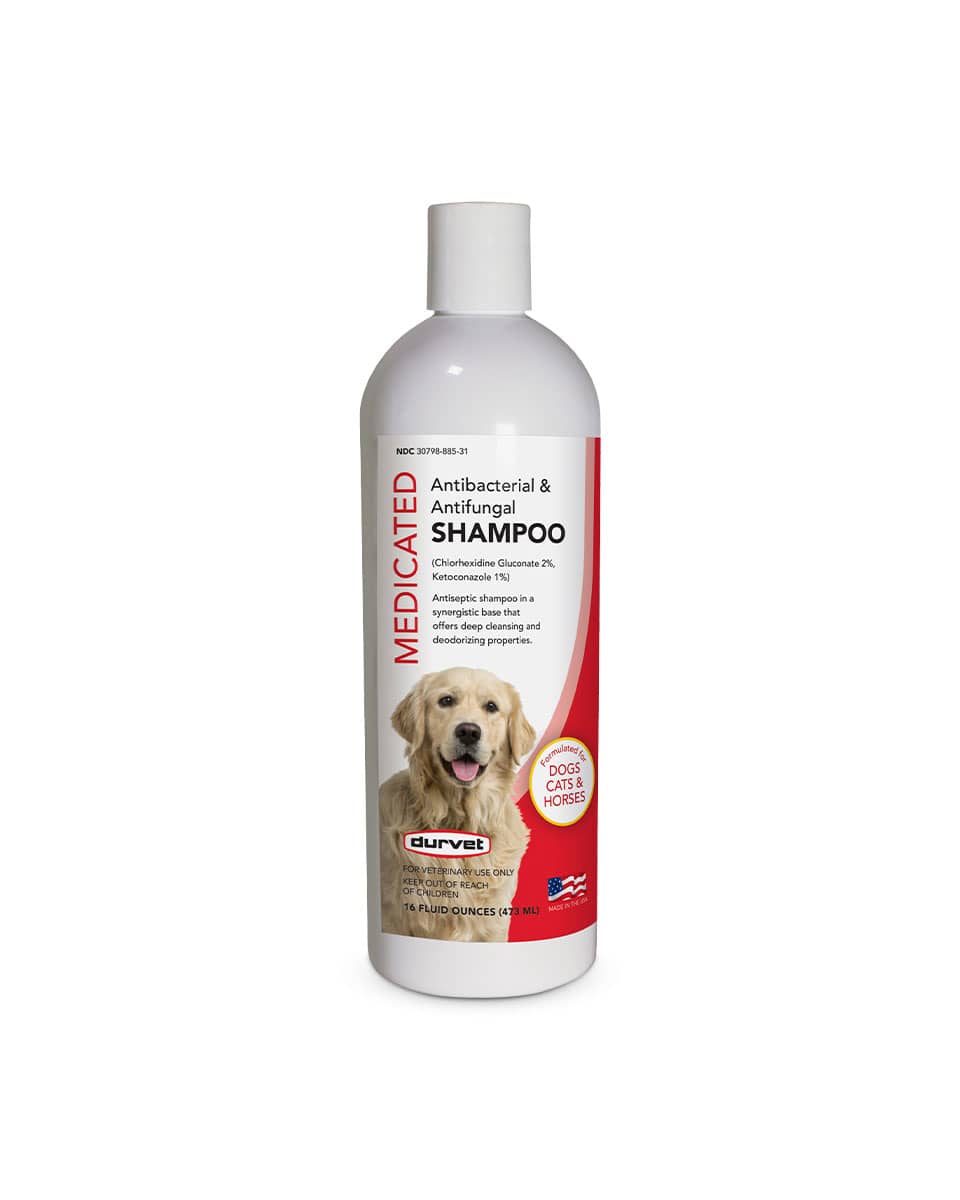 Durvet Medicated Antibacterial and Antifungal Equine Shampoo