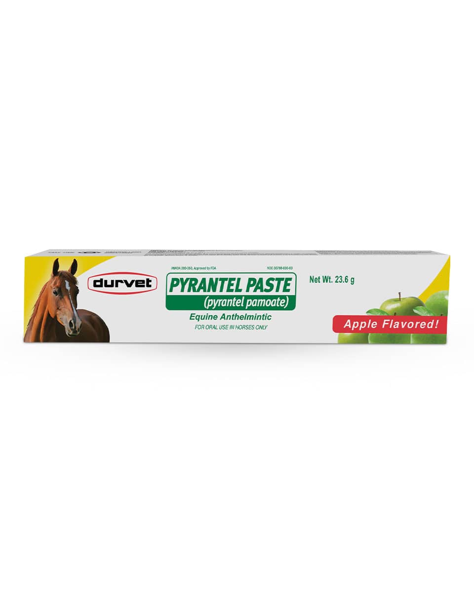 Durvet Pyrantel Paste (Pyrantel Pamoate) equine dewormer