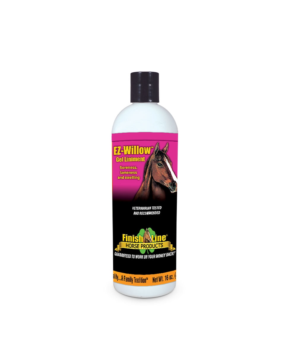 EZ Willow Liniment Gel