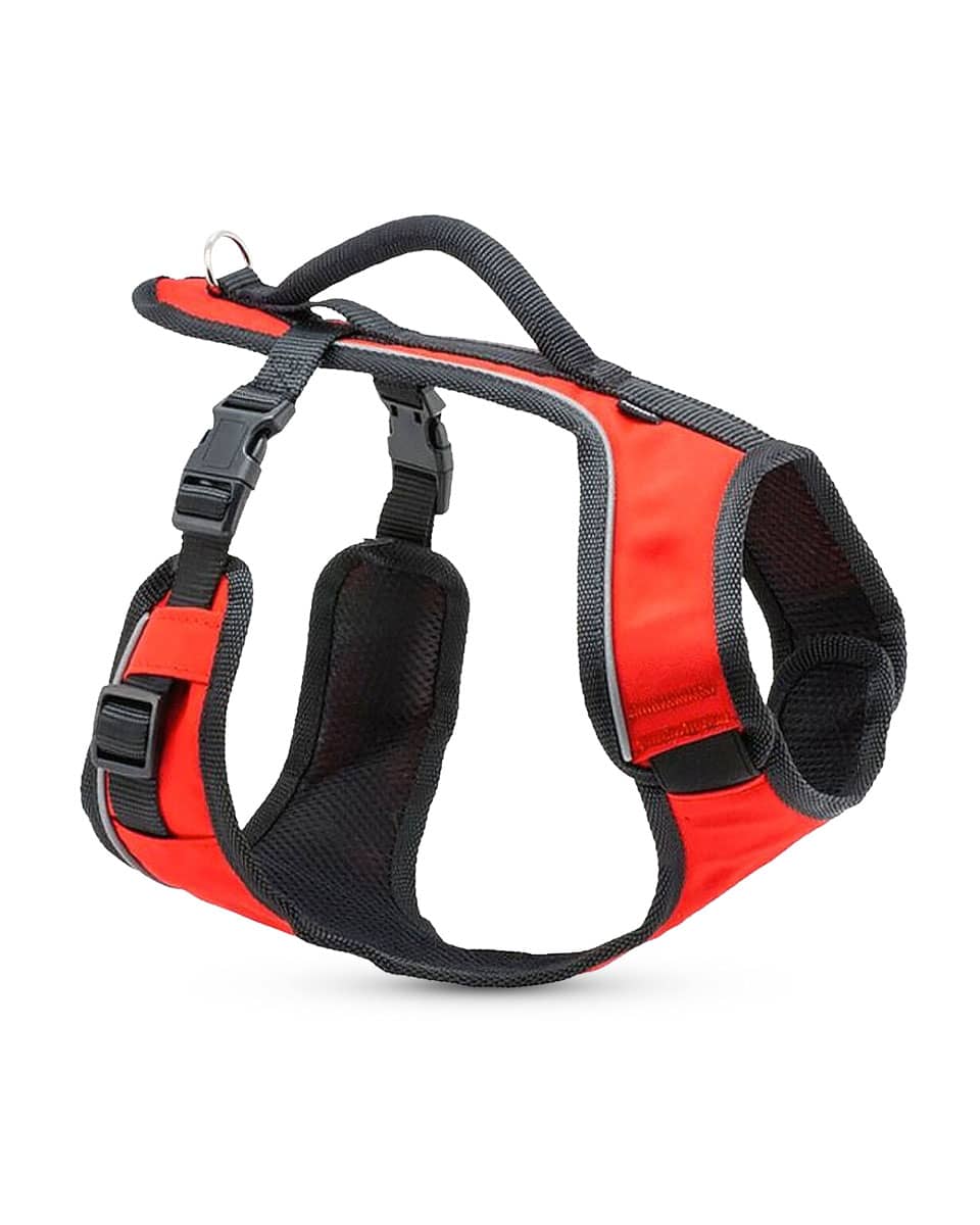 Easy Sport Dog Harness from PetSafe