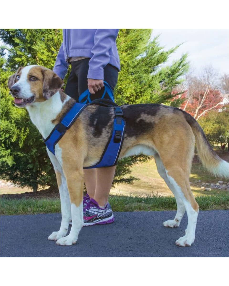 Easy Sport Dog Harness from PetSafe