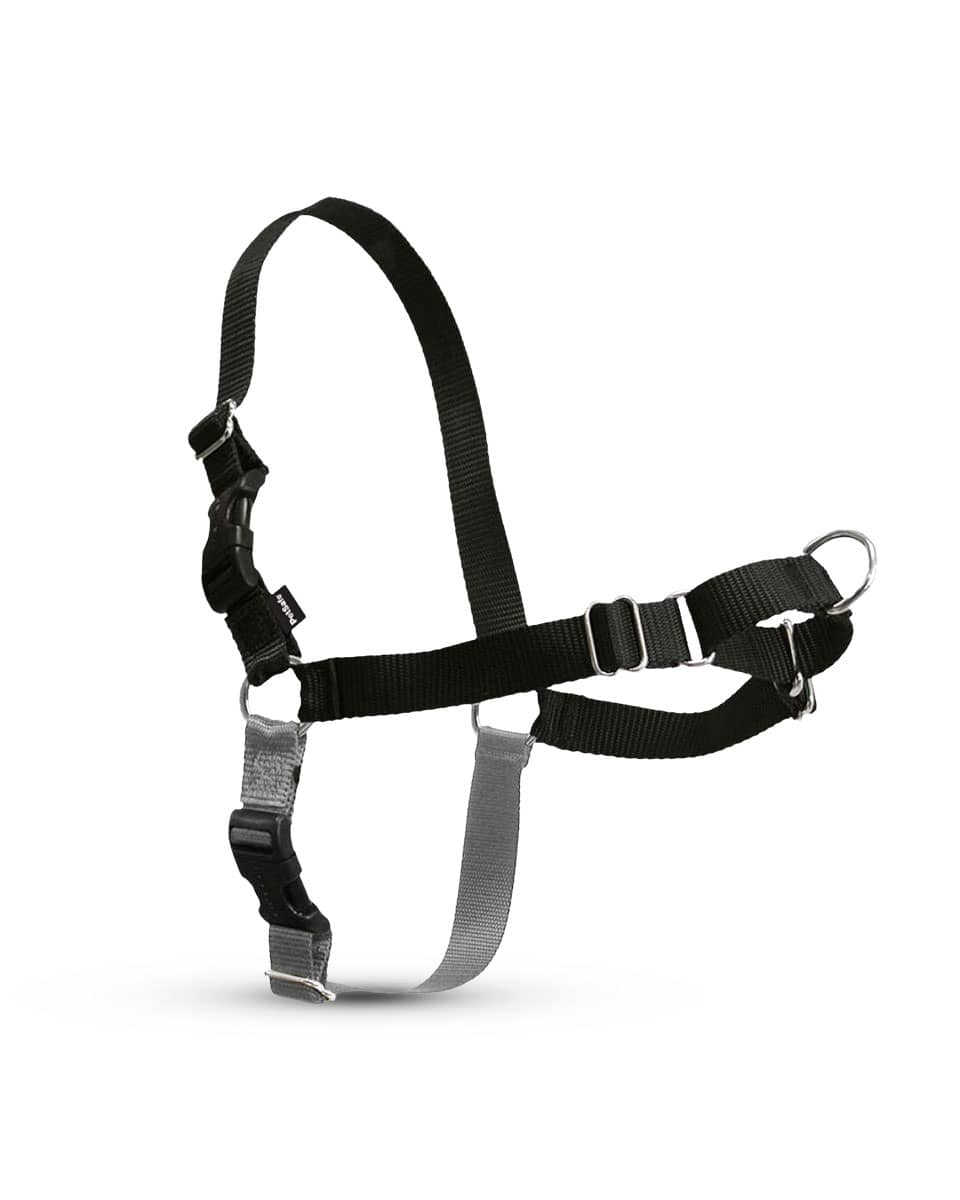 Easy Walk Dog Harness from PetSafe