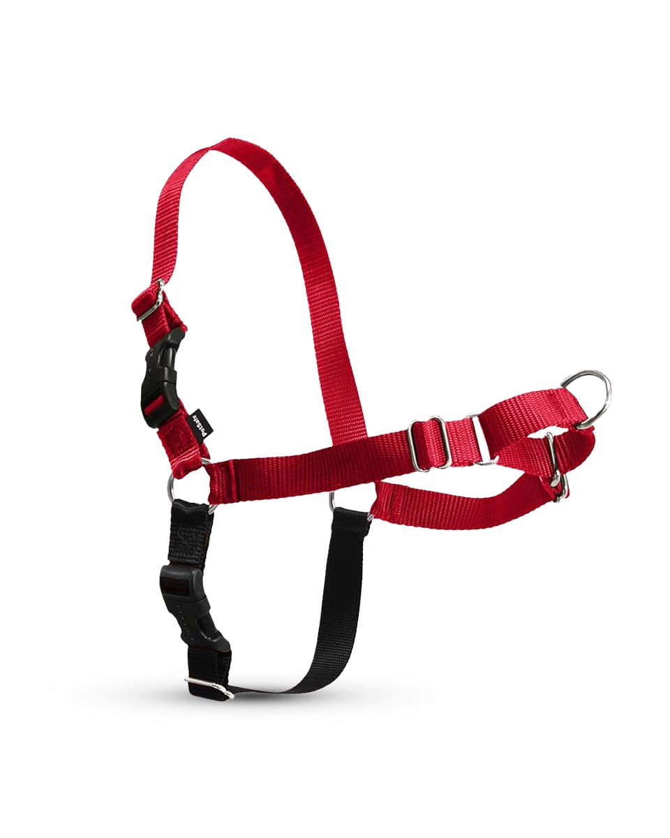 Easy Walk Dog Harness from PetSafe