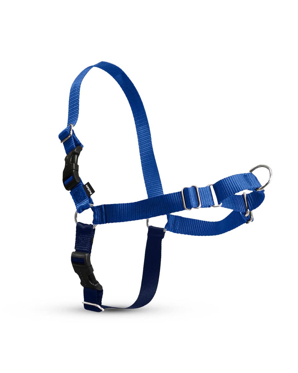 Easy Walk Dog Harness from PetSafe