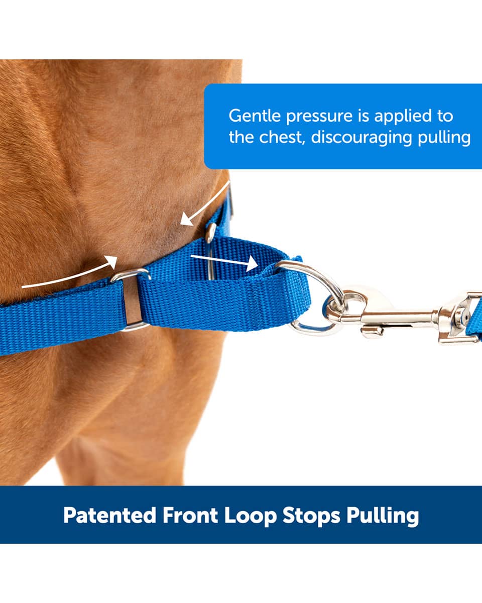 Easy Walk Dog Harness from PetSafe