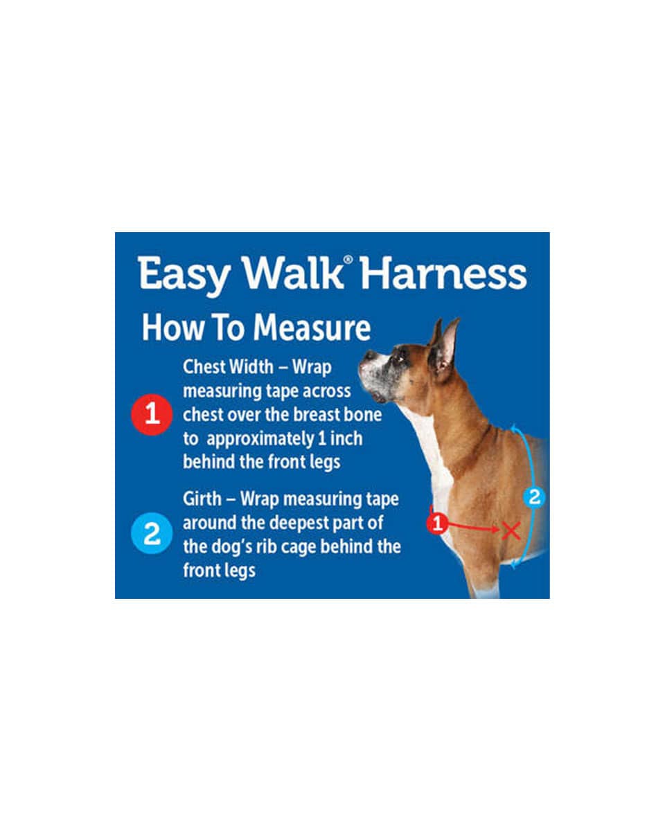 Easy Walk Dog Harness from PetSafe