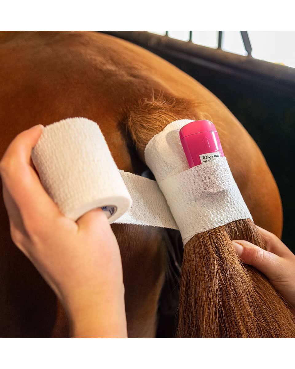 EasyFoal Complete Kit with sensor, antenna, and tape