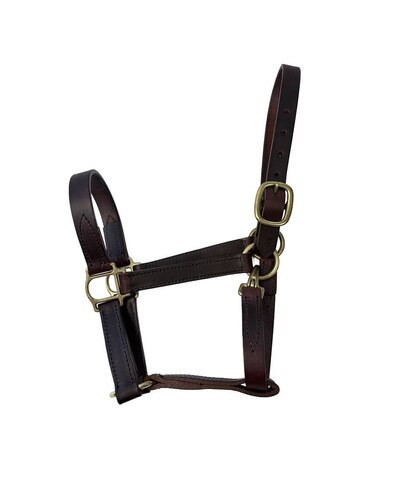 Horse Cents Leather Turnout Halter with English Chin and Throat Snap