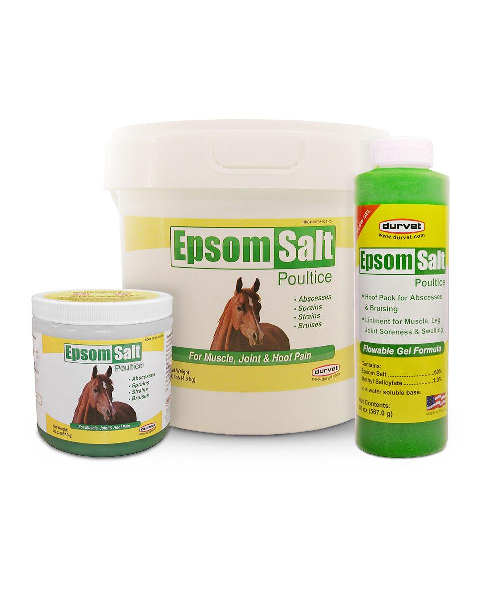 epsom salt poultice for horses