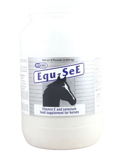 Equ-SeE