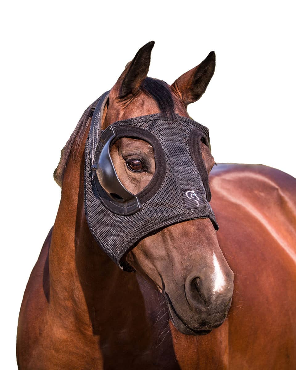 Equilume Belfield Light Mask