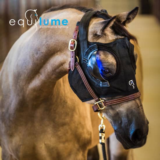 Equilume therapy products for horses at FarmVet.com.