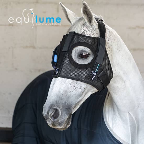 Shop Equilume therapy for horses at FarmVet