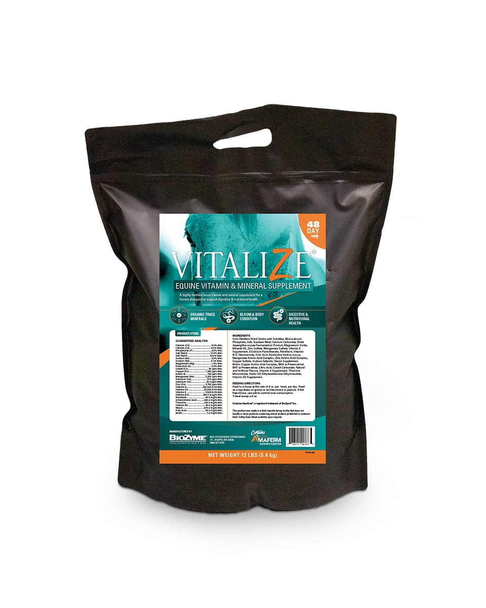 Biozyme Equine Vitamin and Mineral Supplement