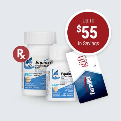 Equioxx Tablets for horses on sale at FarmVet