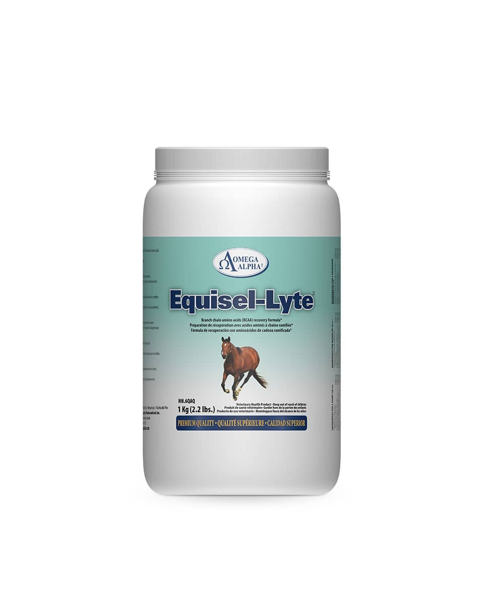 Equisel-Lyte from Omega Alpha - branch-chain amino acid (BCAA) supplement for horses