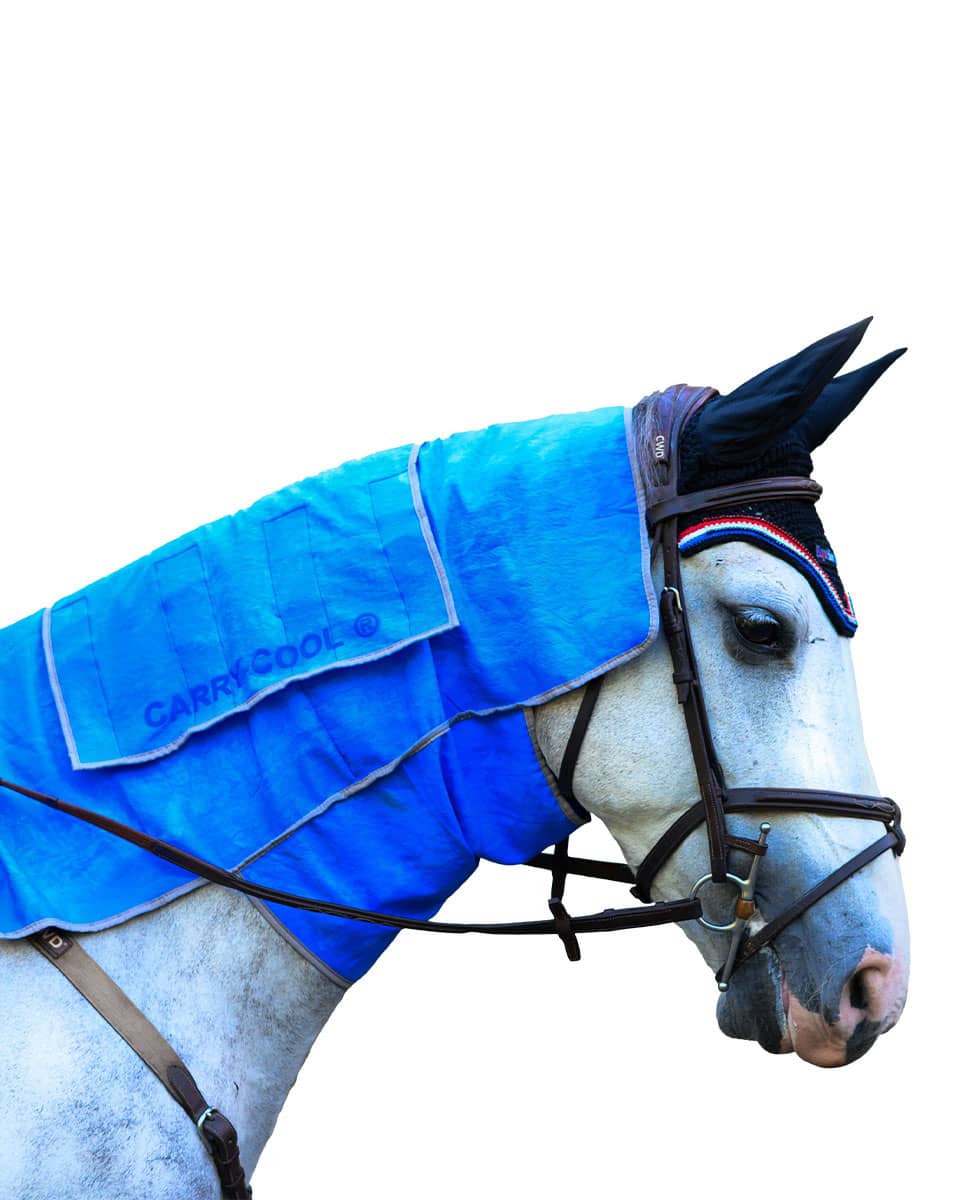 EquiSources Carry-Cool Sport Horse Cooling Kit