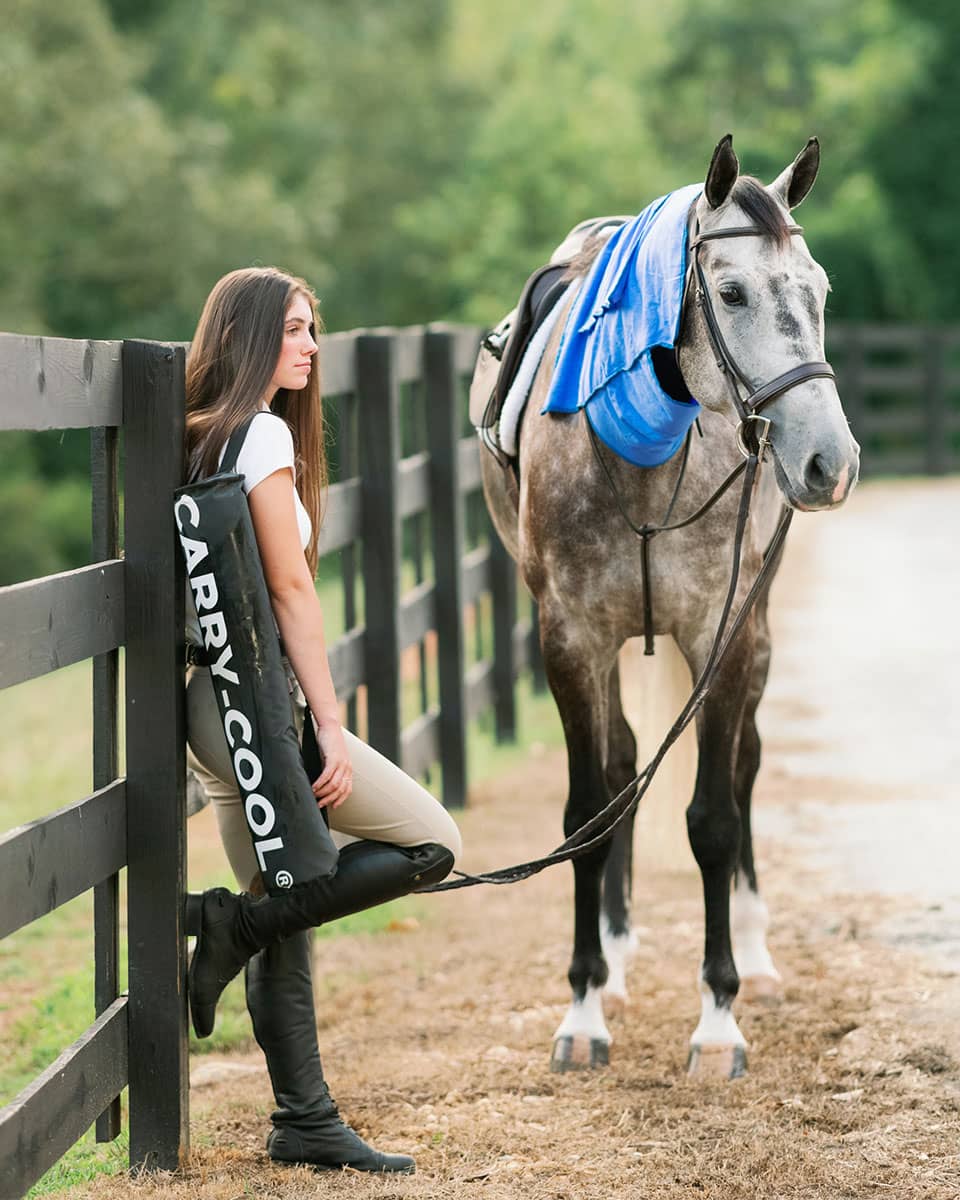 EquiSources Carry-Cool Sport Horse Cooling Kit