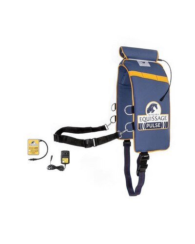 Equissage Pulse Back Pad Set Therapy for horses