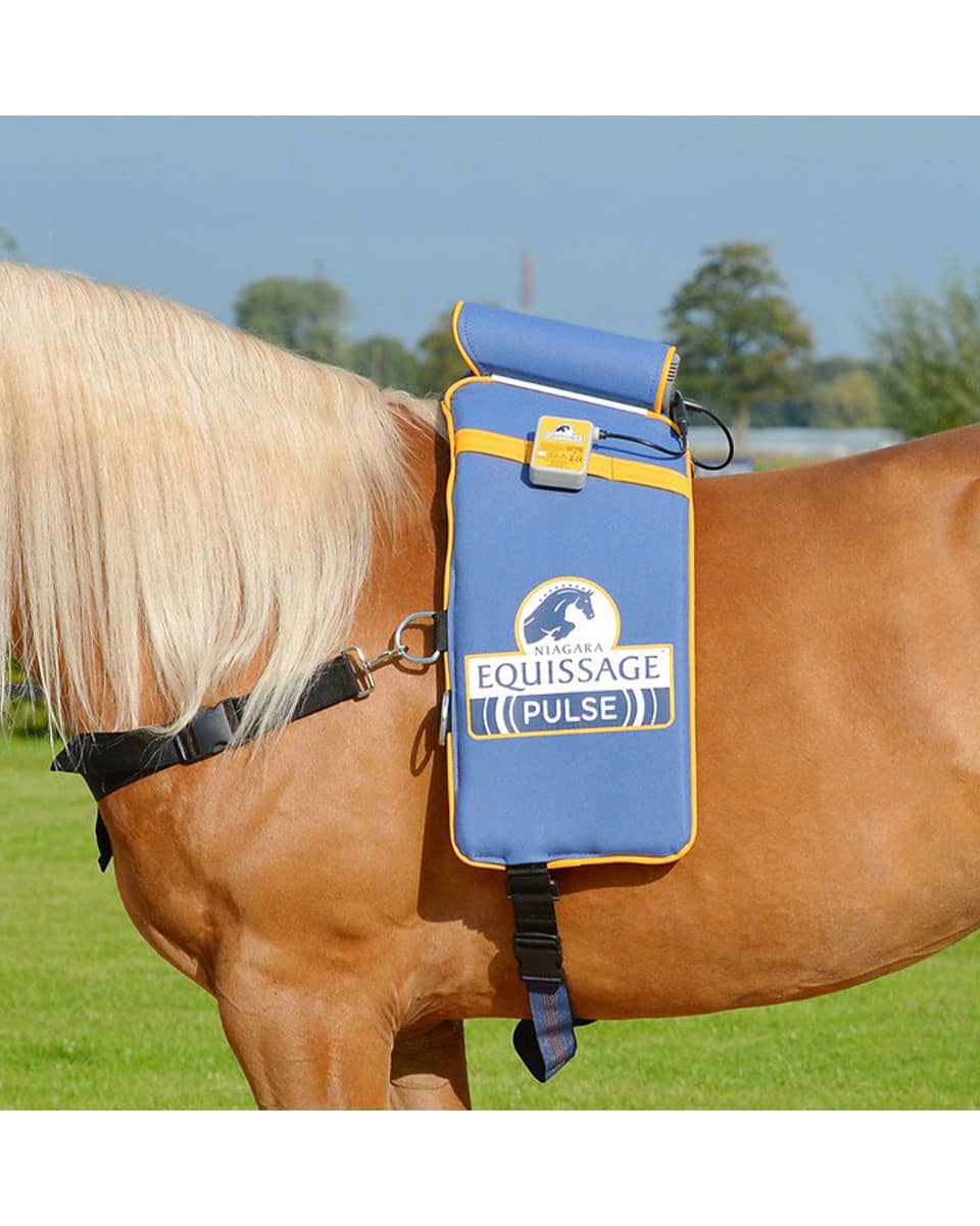 Equissage Pulse Back Pad Set