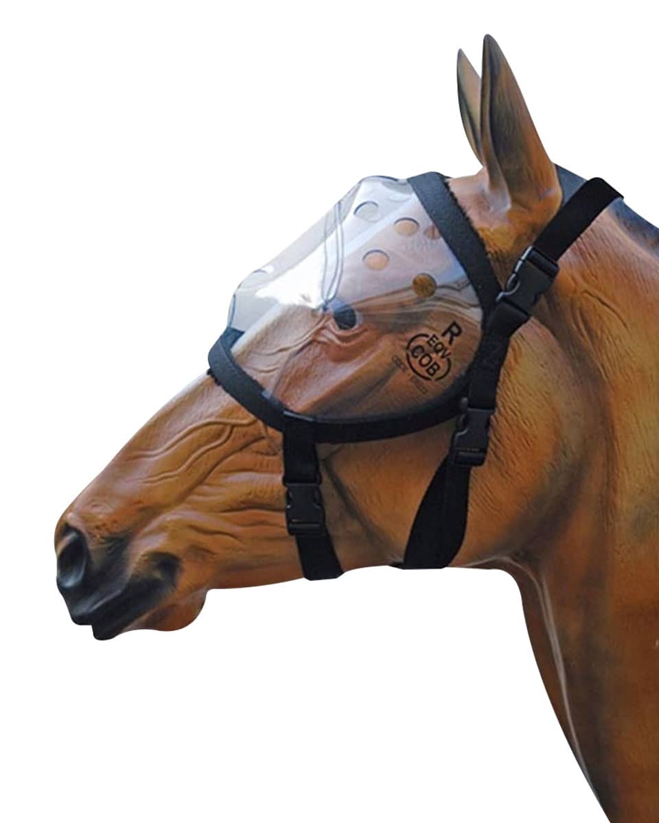 Equivizor Recovery Vizor from Provizor - horse eye protection mask