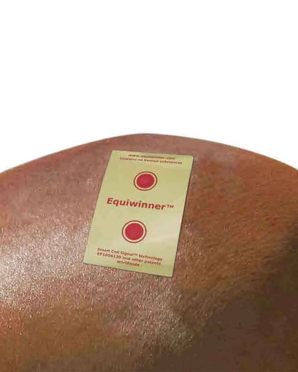 Signal Health's Equiwinner electrolyte Patches