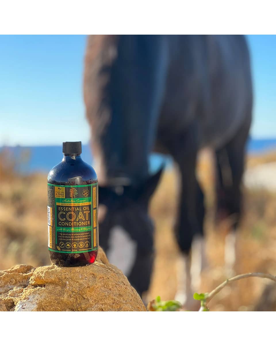 Hairy Pony Essential Oil Coat Conditioner