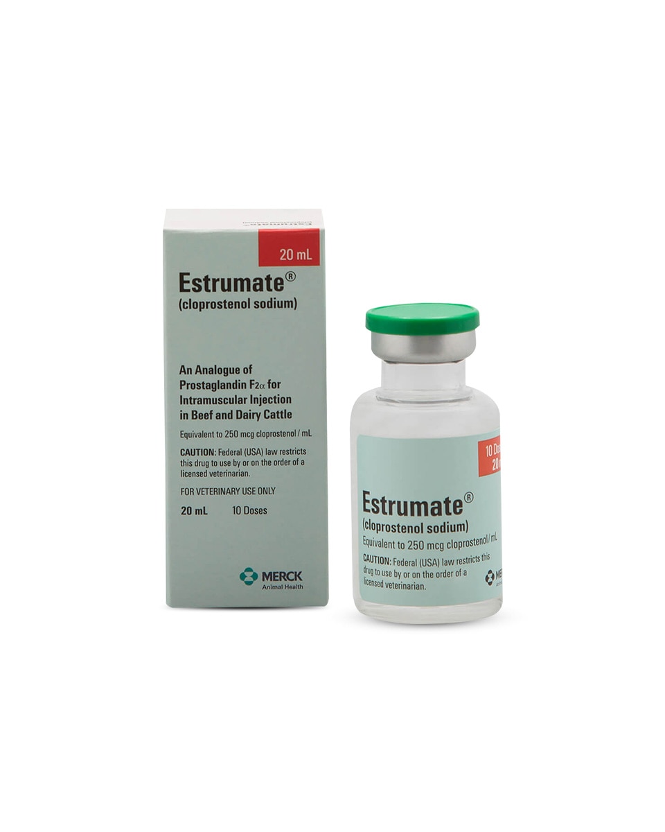 Estrumate 20ml - 10 dose