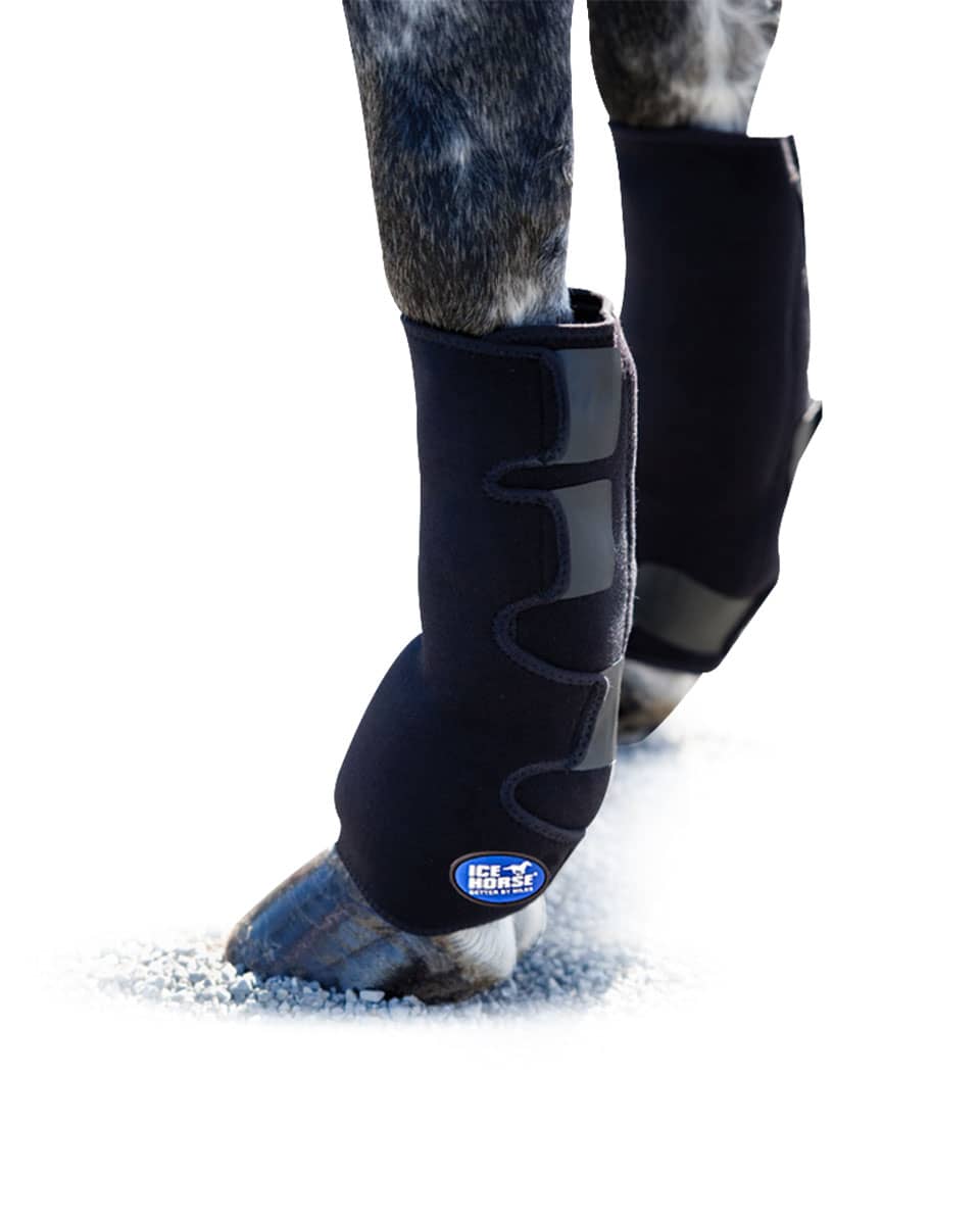 Ice Horse Suspensory Wraps by MacKinnon Ice Horse