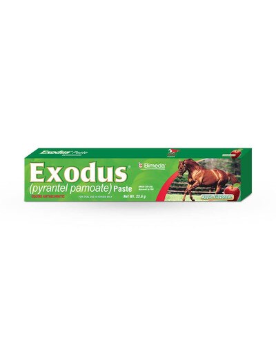 Bimeda Exodus Paste (Pyrantel Pamoate) equine dewormer