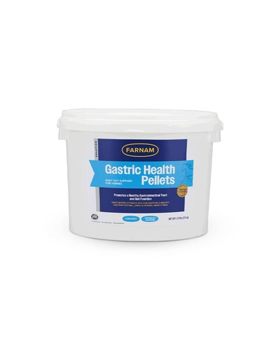 Farnam Gastric Health Pellets - daily gut support for horses
