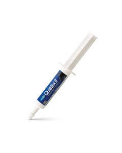 Quietex II by Farnam calming paste for horses