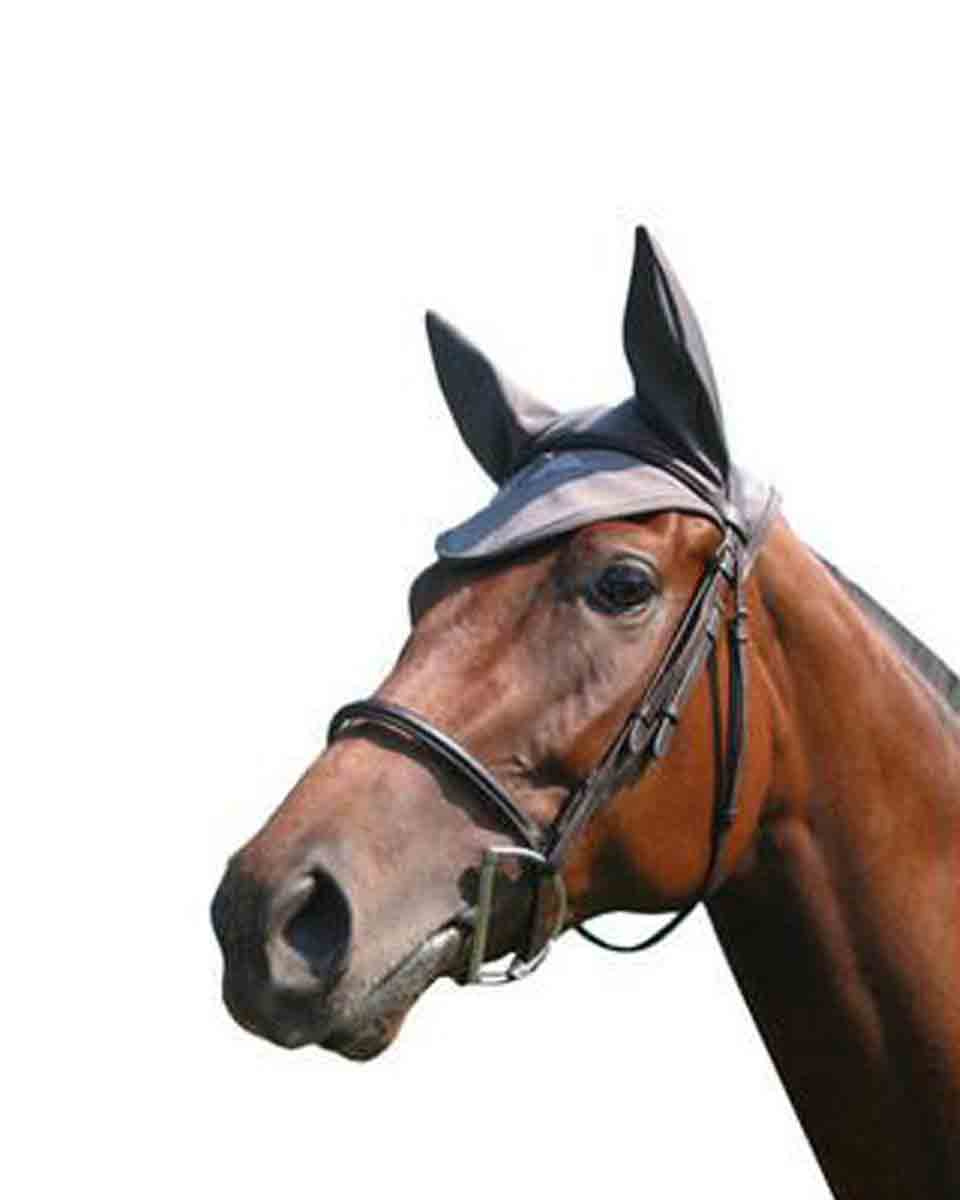 Fenwick Equestrian Therapeutic Ear Bonnet for horses