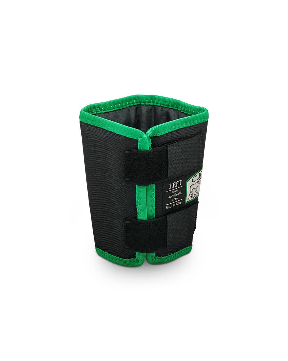 The Click Horse Products Fetlock Shields (pair) Black with Green Trim