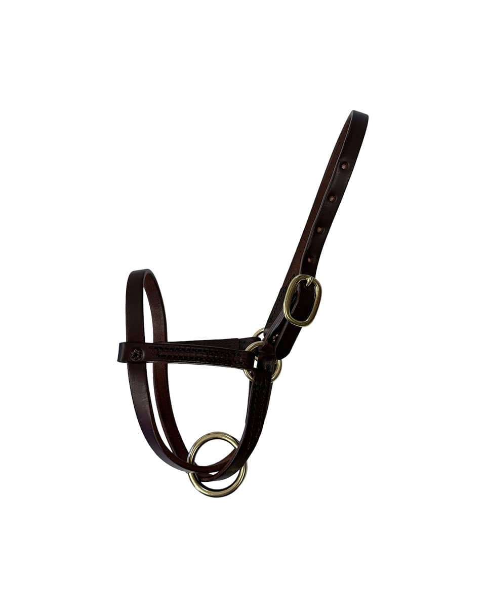 Horse Cents Leather Turnout Halter Figure 8 for foals or young horses