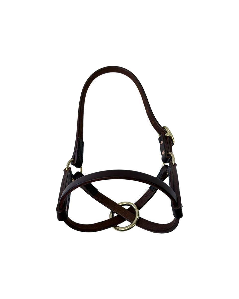 Horse Cents Leather Turnout Halter Figure 8
