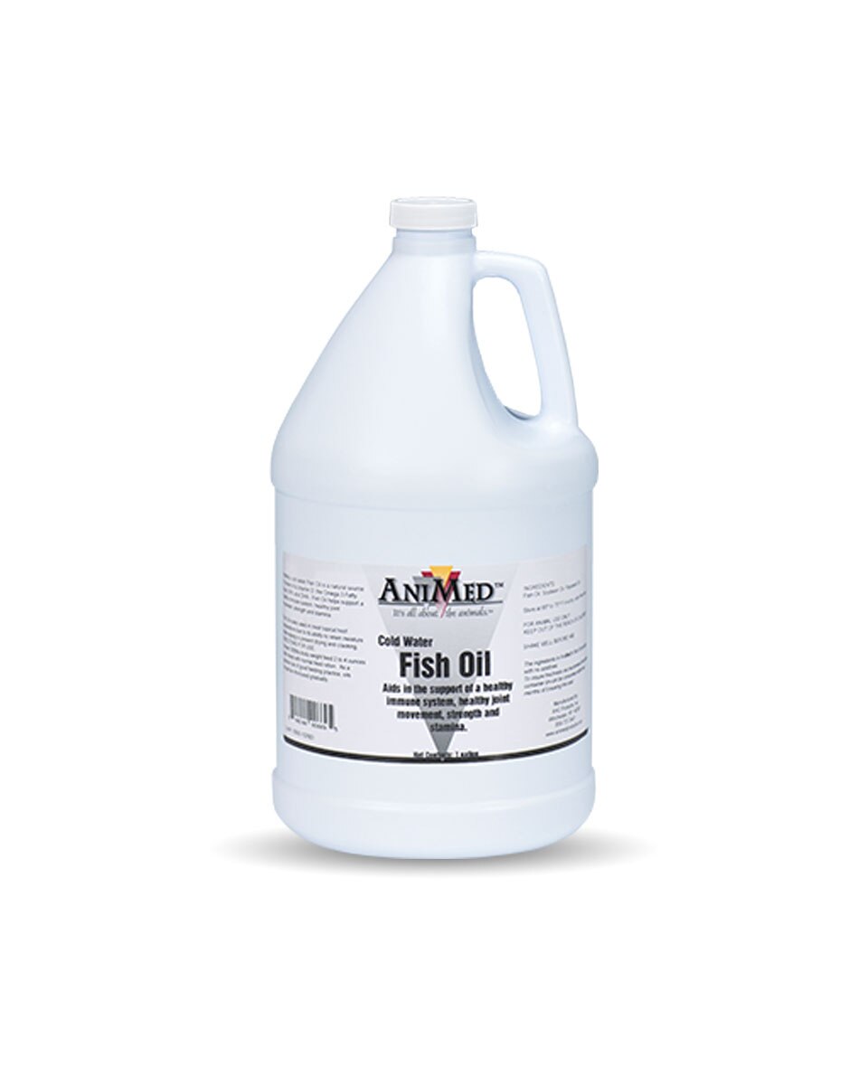Fish Oil for Horses