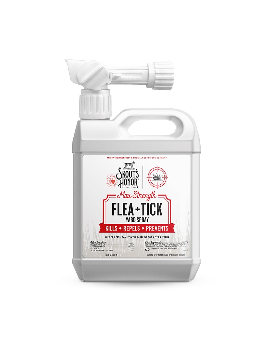 Bayer flea and tick yard spray cheap