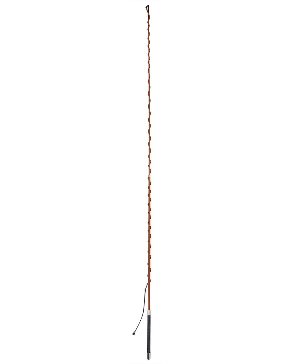 CARBON Telescoping Lunge Whip