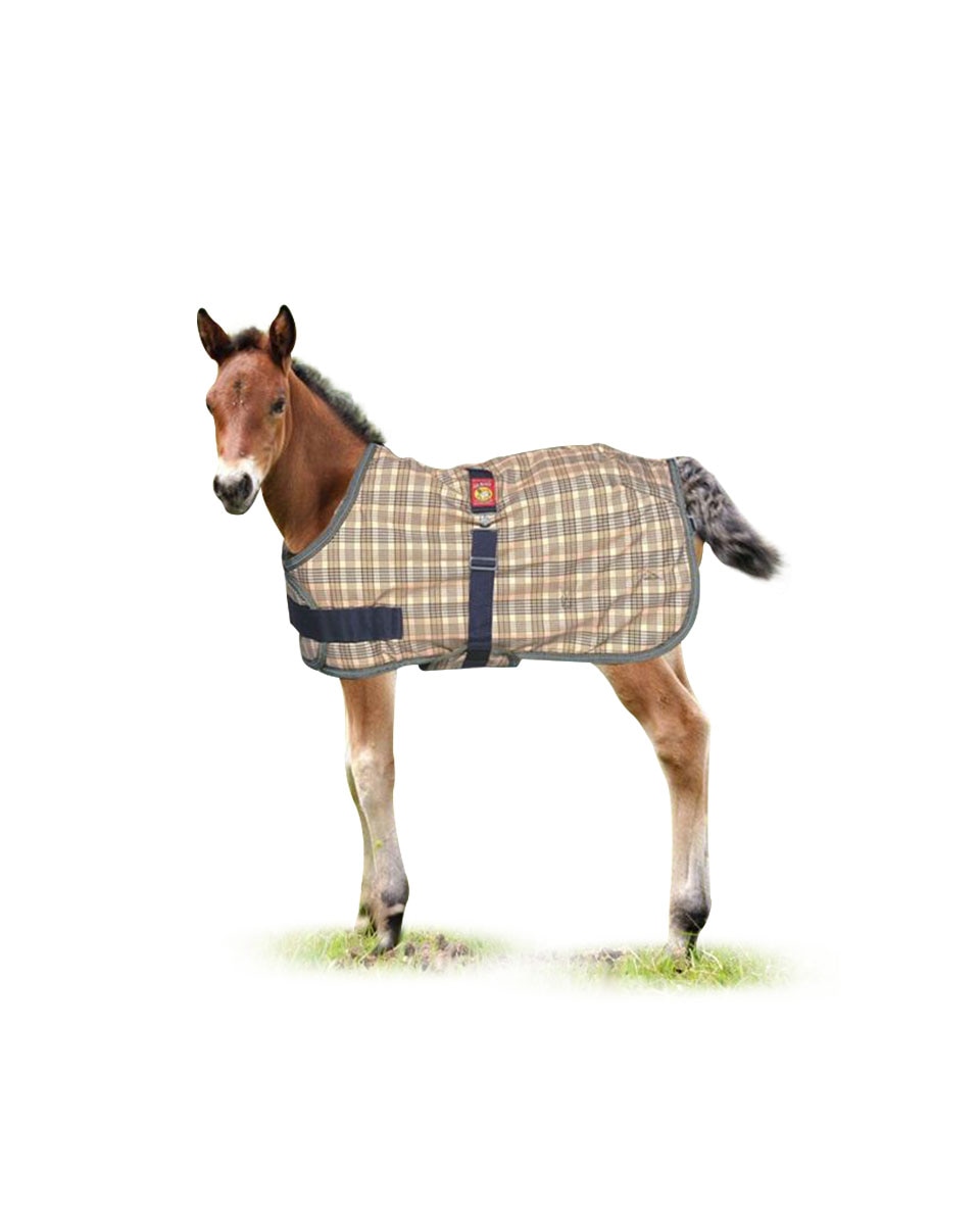 Baker Expand-O-Blanket Foal or Pony Turnout