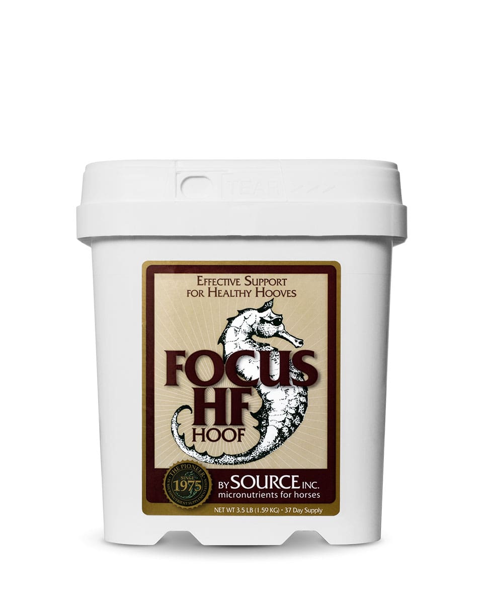 SOURCE Focus HF