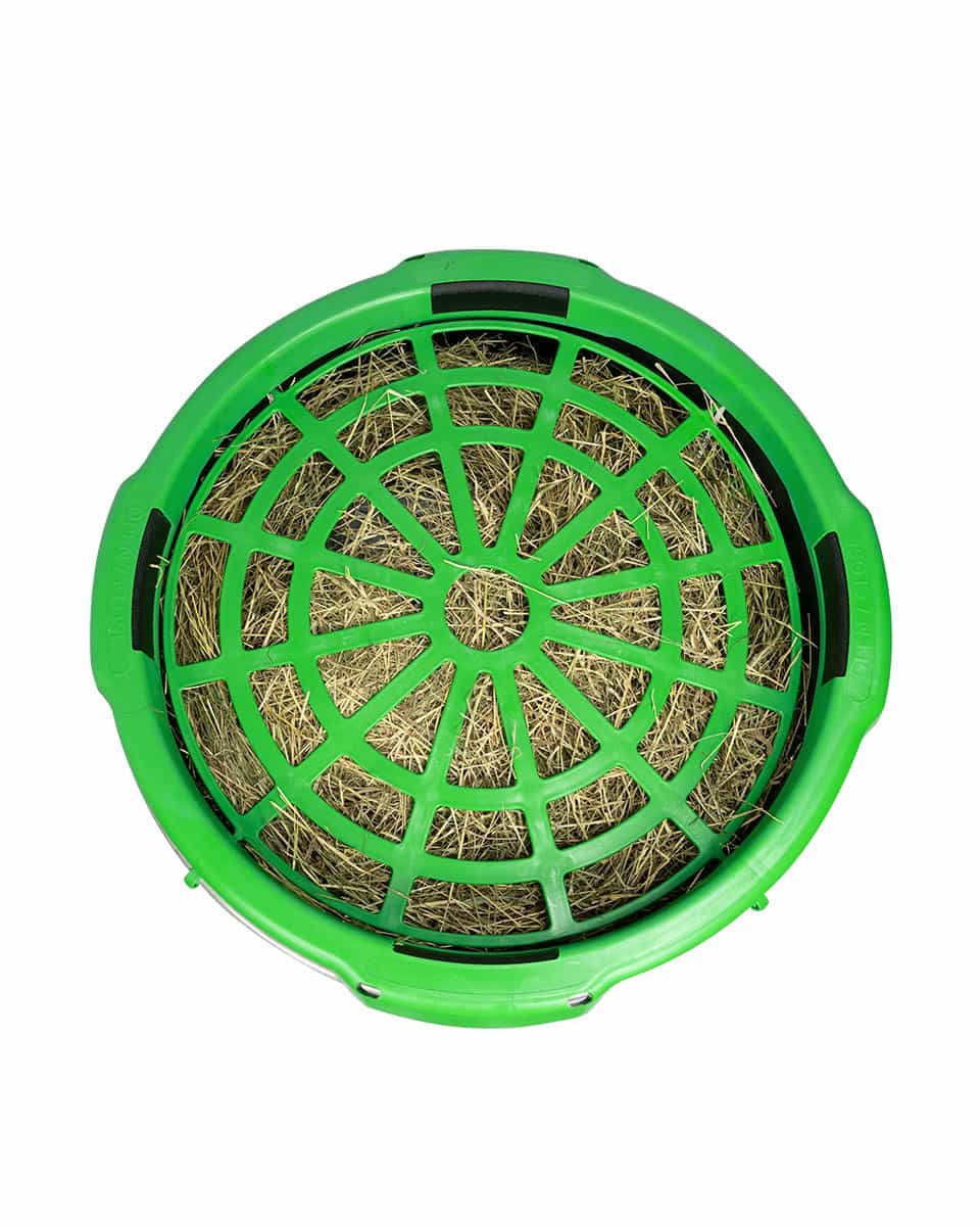HayGain Forager Slow Hay Feeder for horses