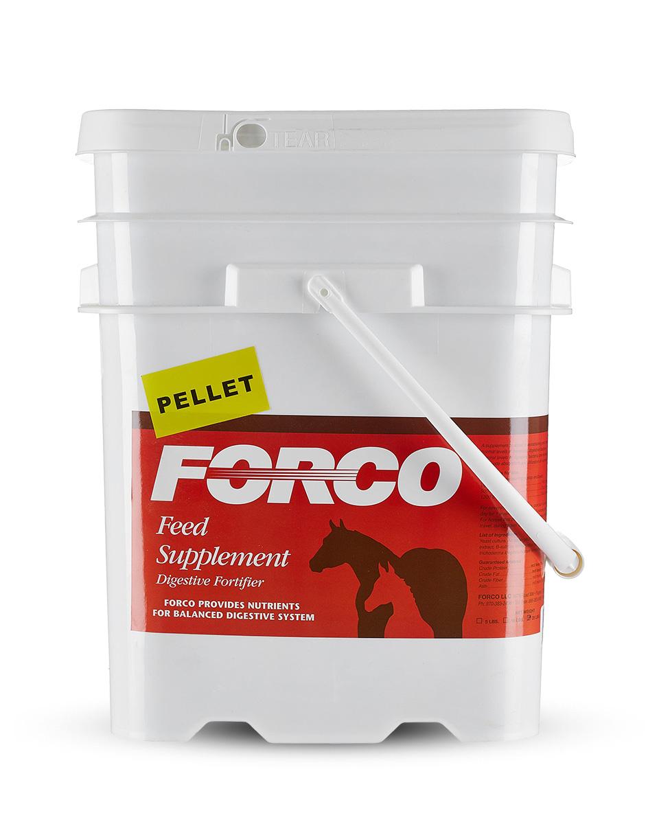 T&egrave; Di Giava Per Cani E Gatti: Antiossidante, Antinfiammatorio E