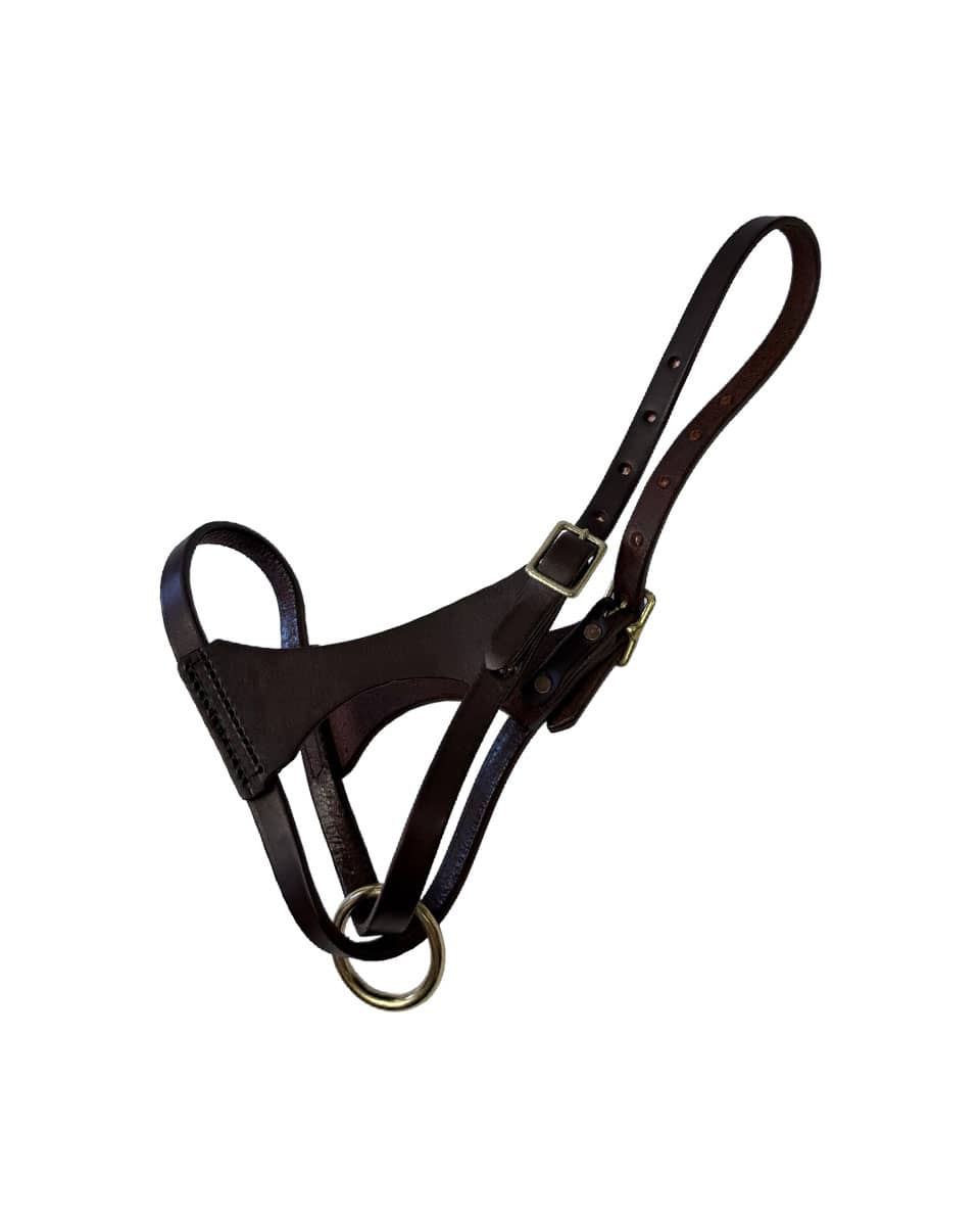 Horse Cents Leather Turnout Halter French Calf for foals and young horses