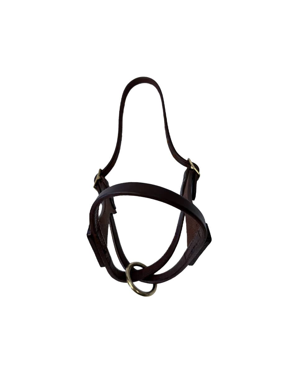 Horse Cents Leather Turnout Halter French Calf